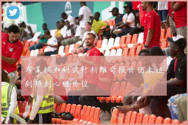 布莱顿加码武什科维奇报价仍未达到热刺心理价位